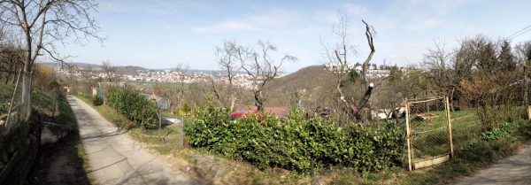 Výhled na Brno