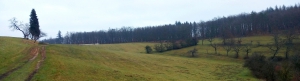 Nelepeč