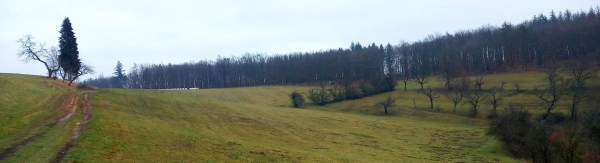 Nelepeč