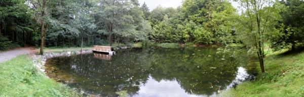 Retenční nádrž nad Šebrovem