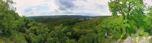 Okolím Babic nad Svitavou