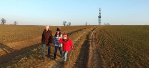 Rozhledna na Rovnině