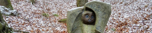 Soví studánka