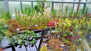 Botanická zahrada Liberec