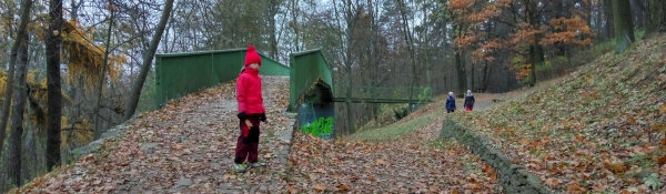 Most přes bývalou sjezdovku ve Wilsonově lese