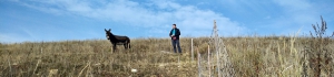 Oslové nad Strážovicemi