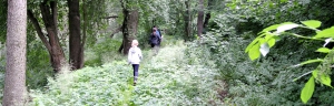 Naučná stezka F. M. Nágla v Kostelní Myslové