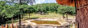 ZOO Brno, Africká vesnice