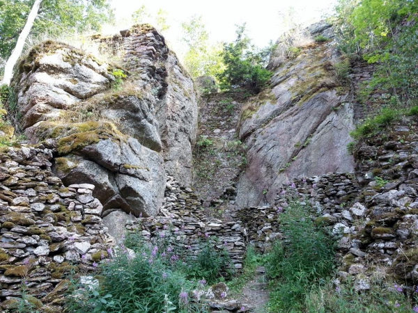 Štarkov
