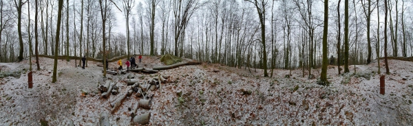 Zřícenina Starý Světlov