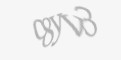 Bezpečnostní kód